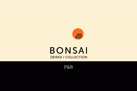 Bonsai Exhibition 1