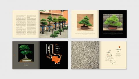 Bonsai Exhibition 3