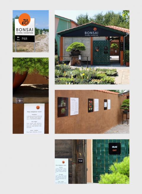 Bonsai Exhibition 6