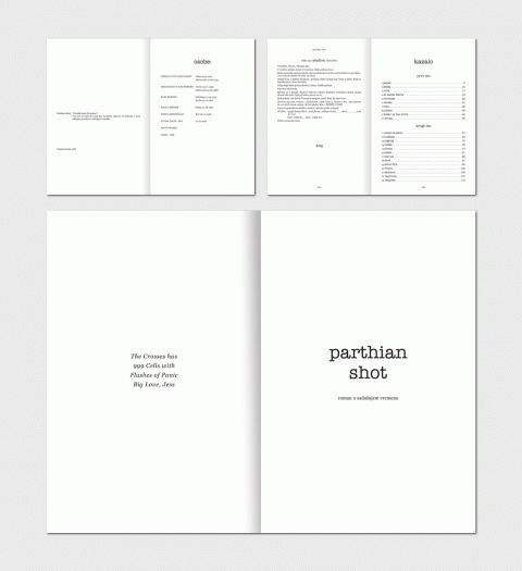 Parthian Shot Book 3