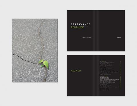 Essays Book2