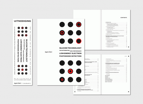 Delft Thesis 2